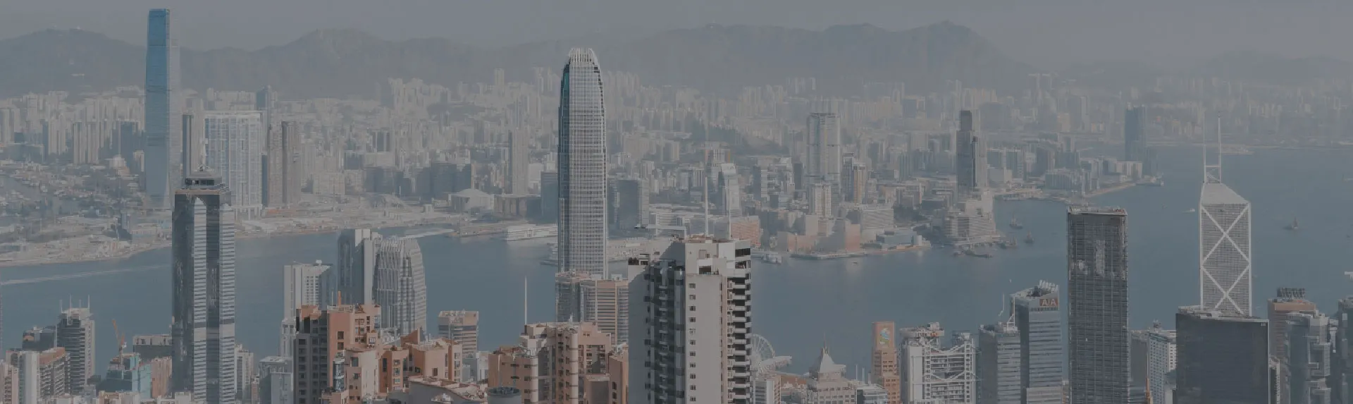 about The Hong Kong Story