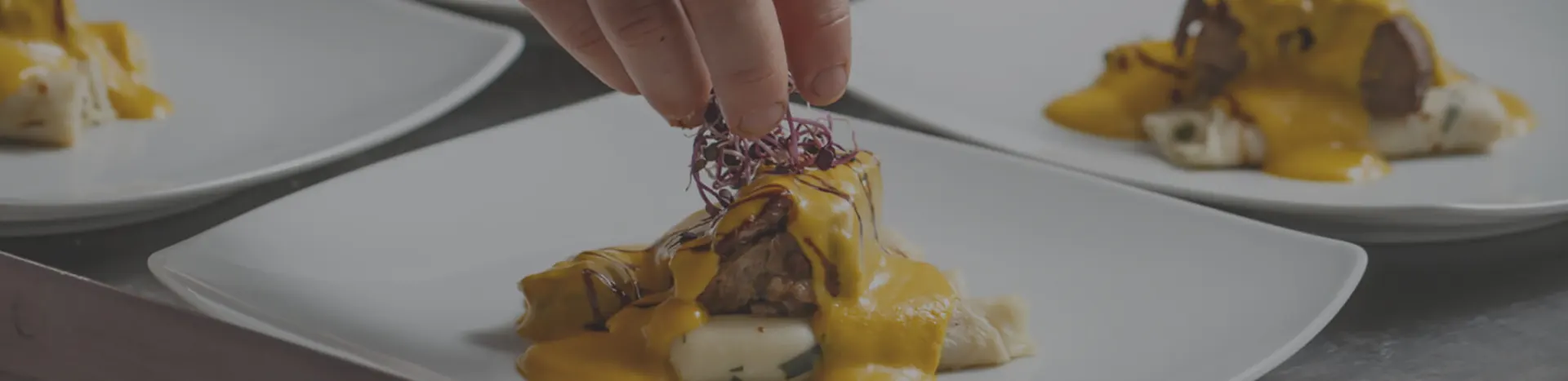 indoguna lordly hongkong products